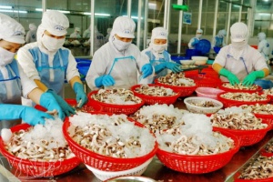 Tìm hiểu ngành Công nghệ chế biến thủy sản là gì? học gì? ra trường làm gì?